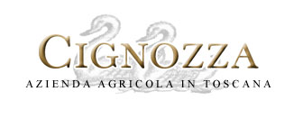 Product Logo