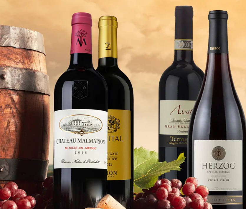 The Enchanting World of Israeli Wine: A Taste of Tradition and Innovation