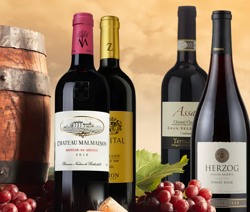 The Enchanting World of Israeli Wine: A Taste of Tradition and Innovation at Areles Kosher Wine