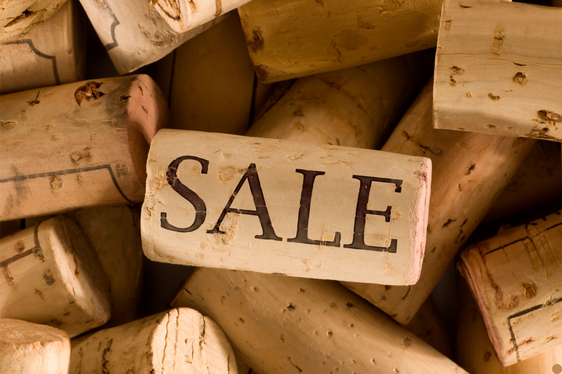 Special Offers