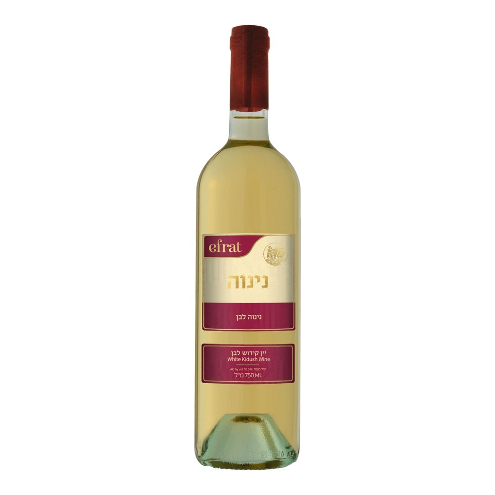 Efrat Ninve White Muscat Alexandria